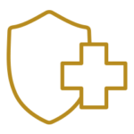 Healthcare Support Icon